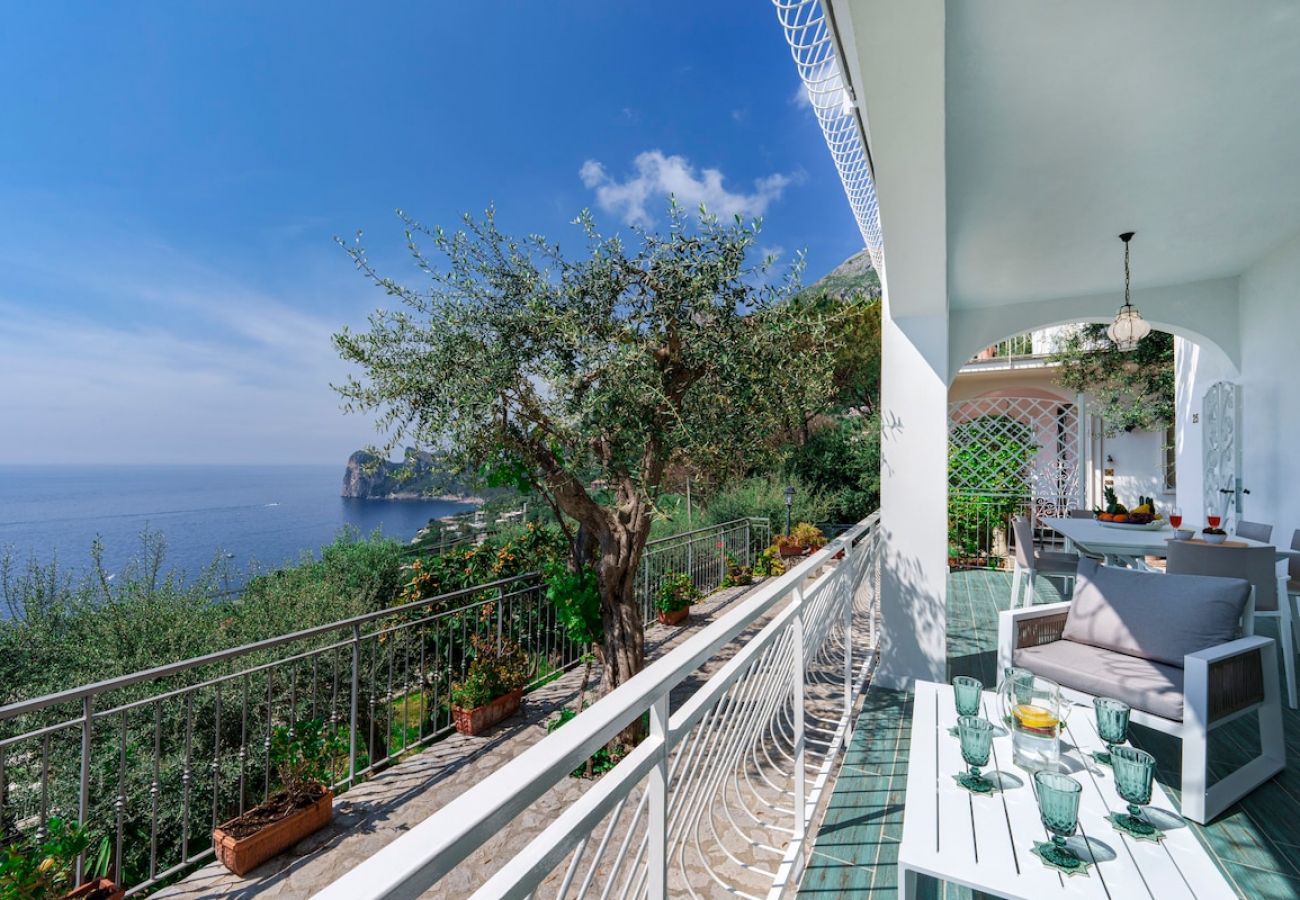Appartamento a Massa Lubrense - Incanto apartament in Nerano stunning sea view 