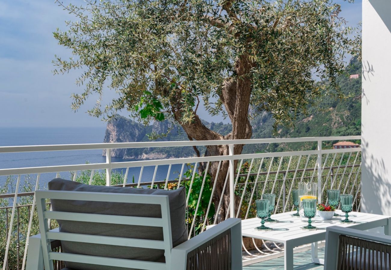 Appartamento a Massa Lubrense - Incanto apartament in Nerano stunning sea view 