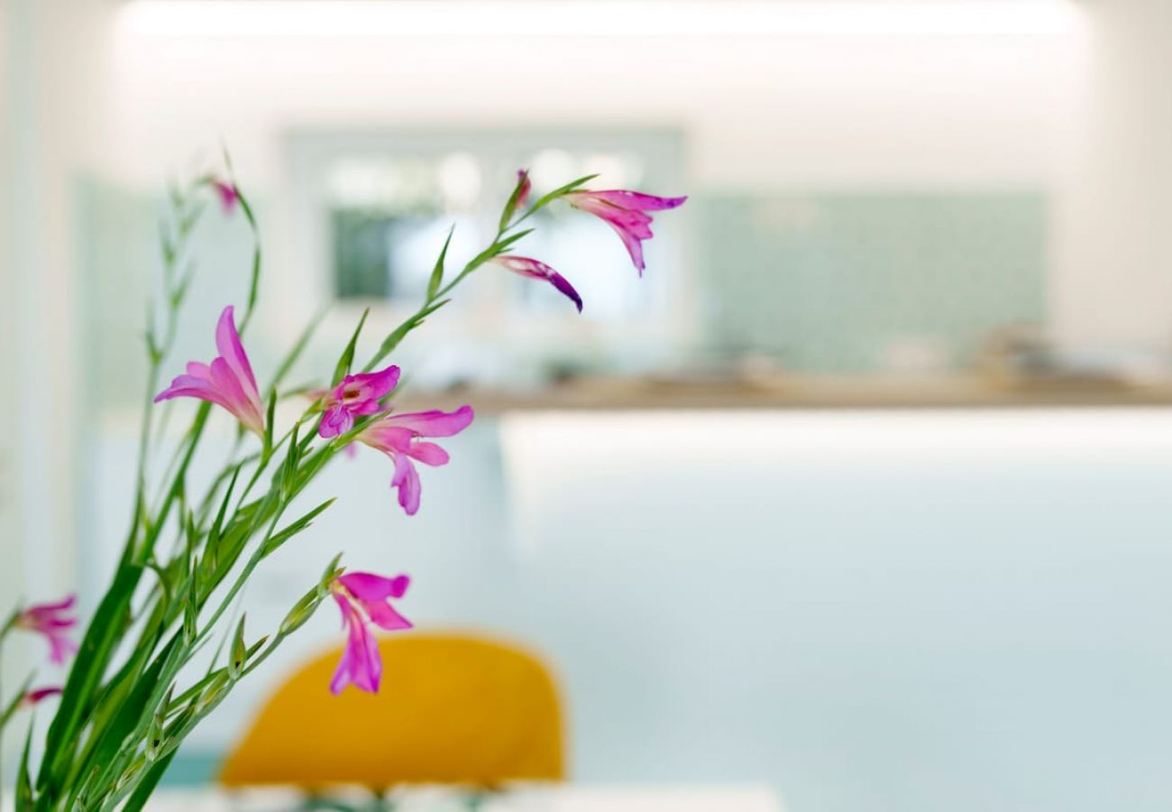 Appartamento a Massa Lubrense - Incanto apartament in Nerano stunning sea view 
