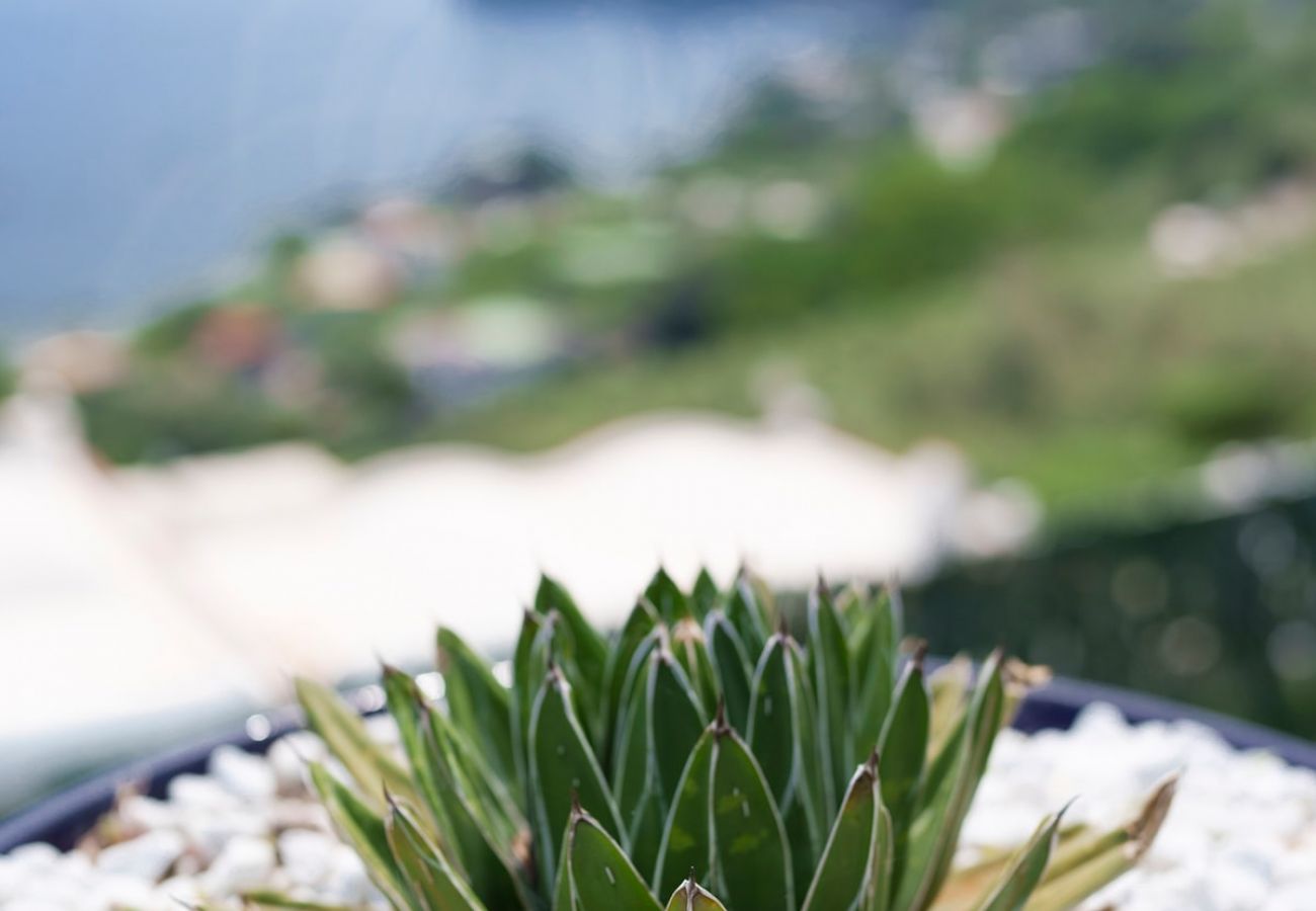 Appartamento a Massa Lubrense - Incanto apartament in Nerano stunning sea view 