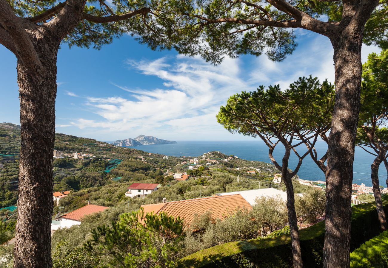 Villa a Massa Lubrense - Villa Sole di Capri con piscina 
