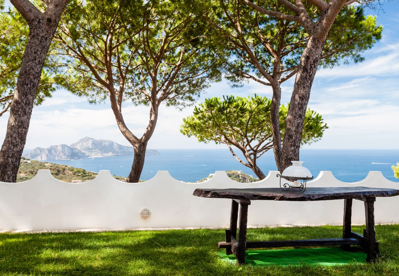 Villa a Massa Lubrense - Villa Sole di Capri con piscina 