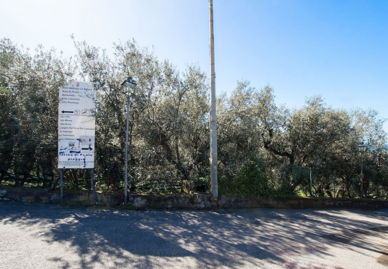 Appartamento a Sorrento - Villa Le Olivine a meno di 5minuti da Sorrento