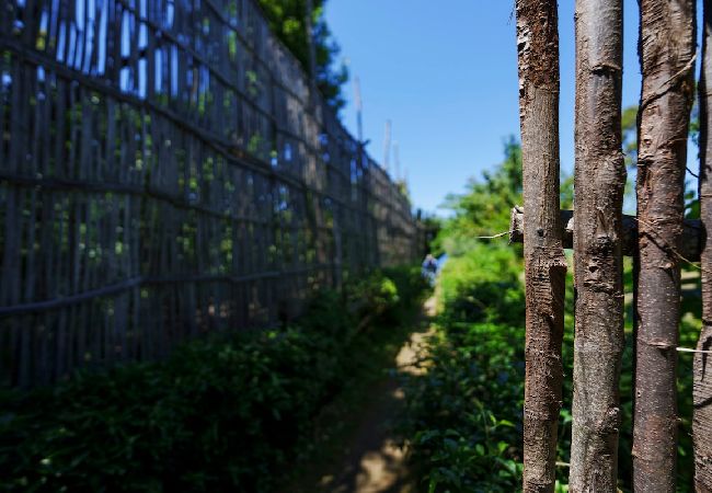 Appartamento a Sant´Agnello -  Il Terrazzino di Villa Preziosa al Pizzo