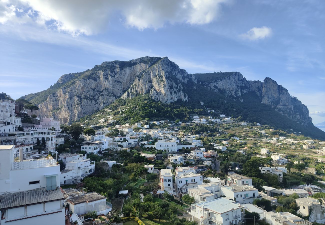Appartamento a Capri - L'affresco caprese a 10 minuti dalla piazzetta