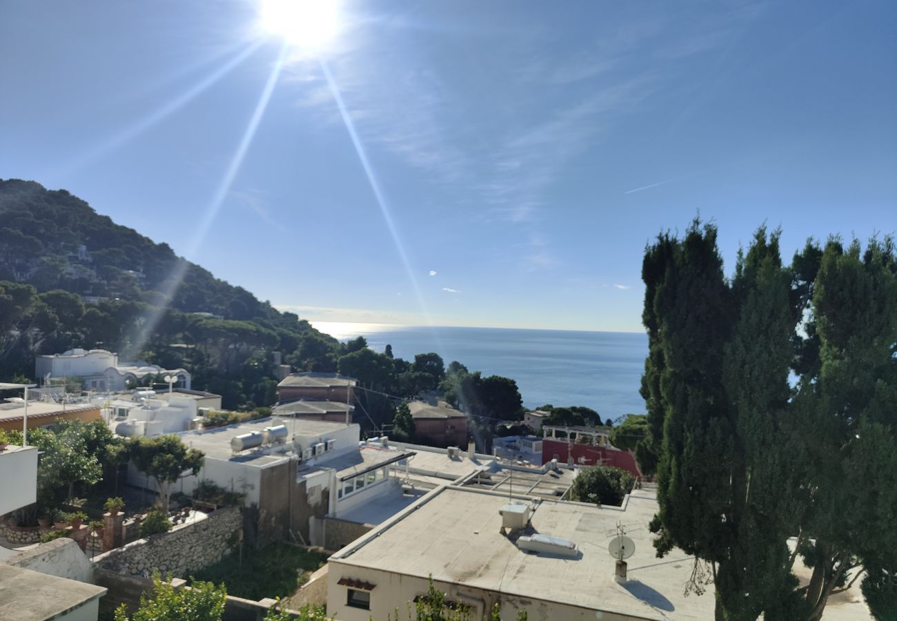 Appartamento a Capri - L'affresco caprese a 10 minuti dalla piazzetta