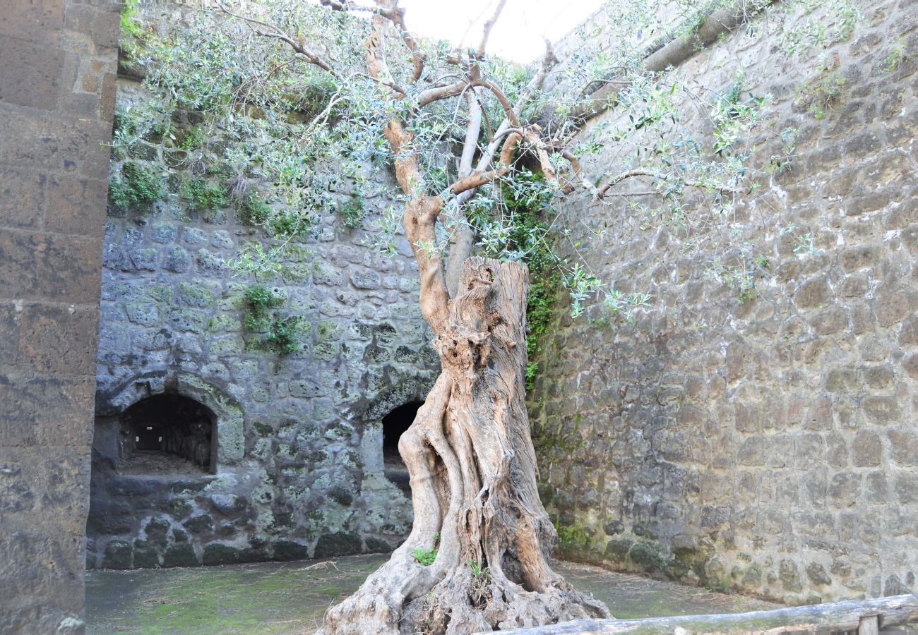 Appartamento a Sorrento - Casa la Piccola Sorrento al centro