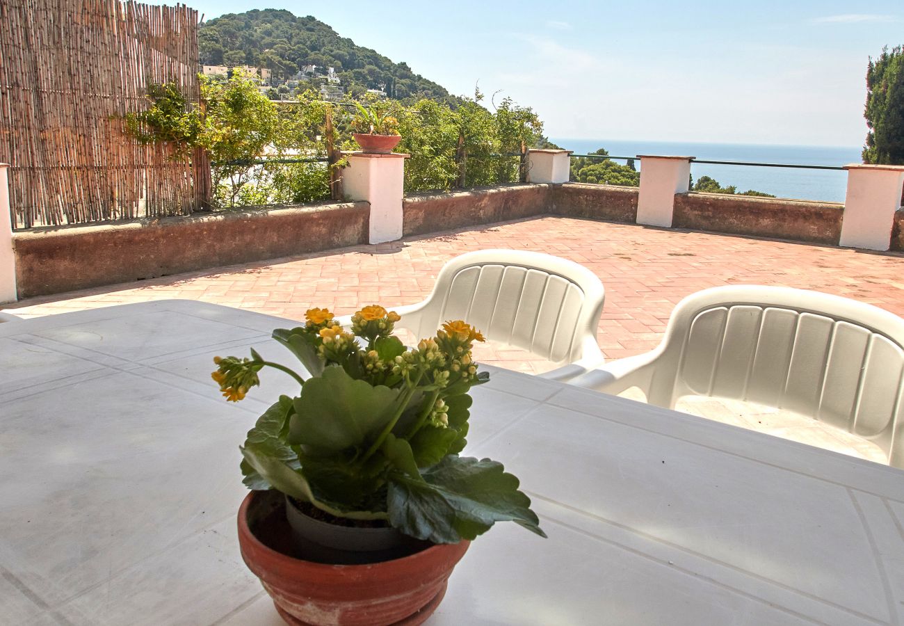 Appartamento a Capri - La terrazza sul blu di Capri