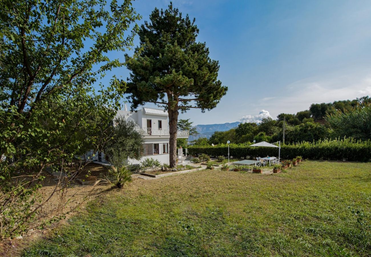 Villa in Sorrento - Villa Louise 5 min from the center of Sorrento