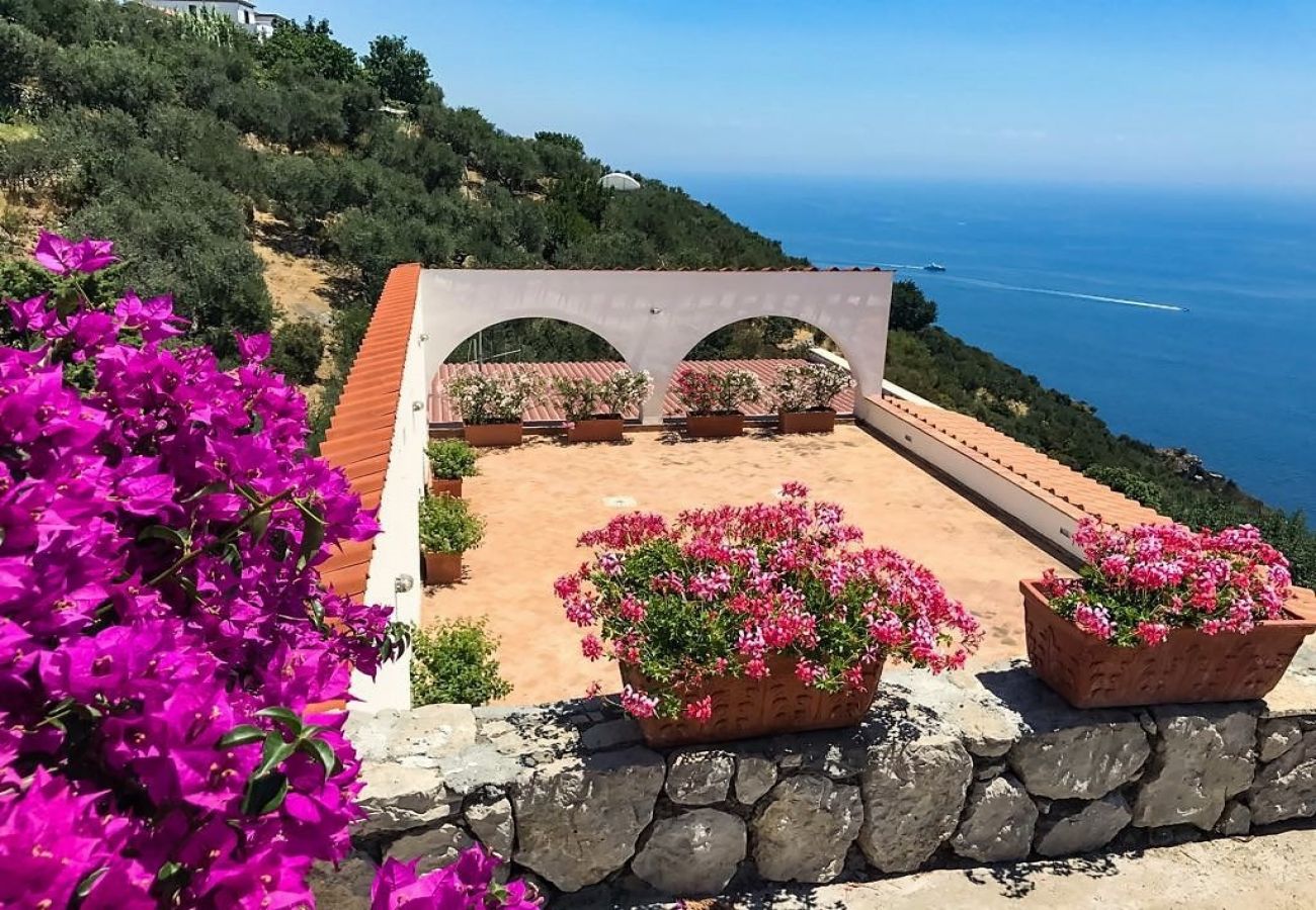 Apartment in Piano di Sorrento - Il Nibbio at 10 kilometres to Positano. 