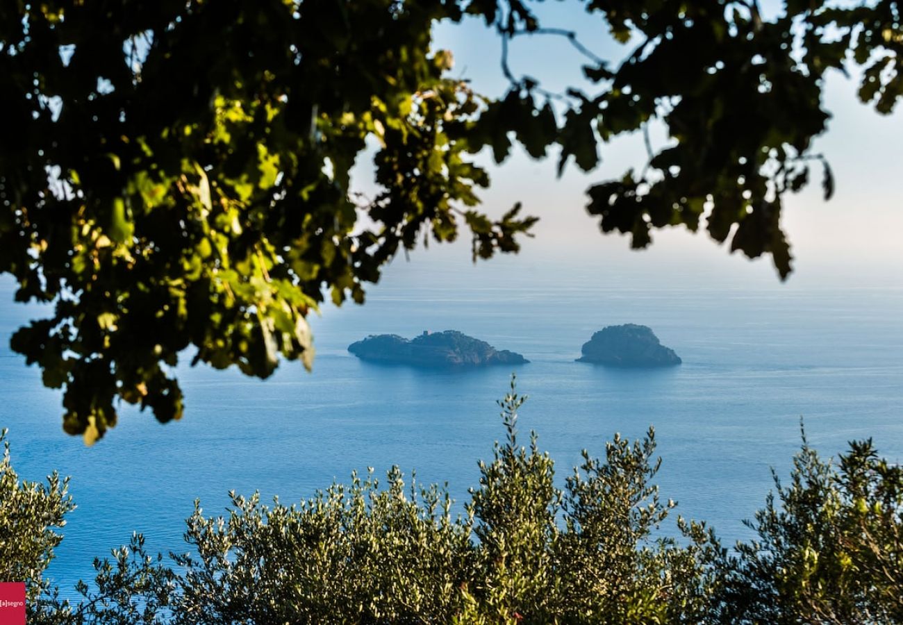 Apartment in Piano di Sorrento - Il Nibbio at 10 kilometres to Positano. 