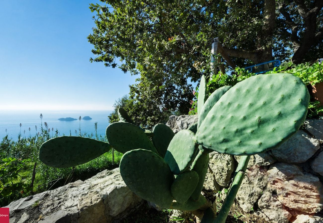 Apartment in Piano di Sorrento - Il Nibbio at 10 kilometres to Positano. 