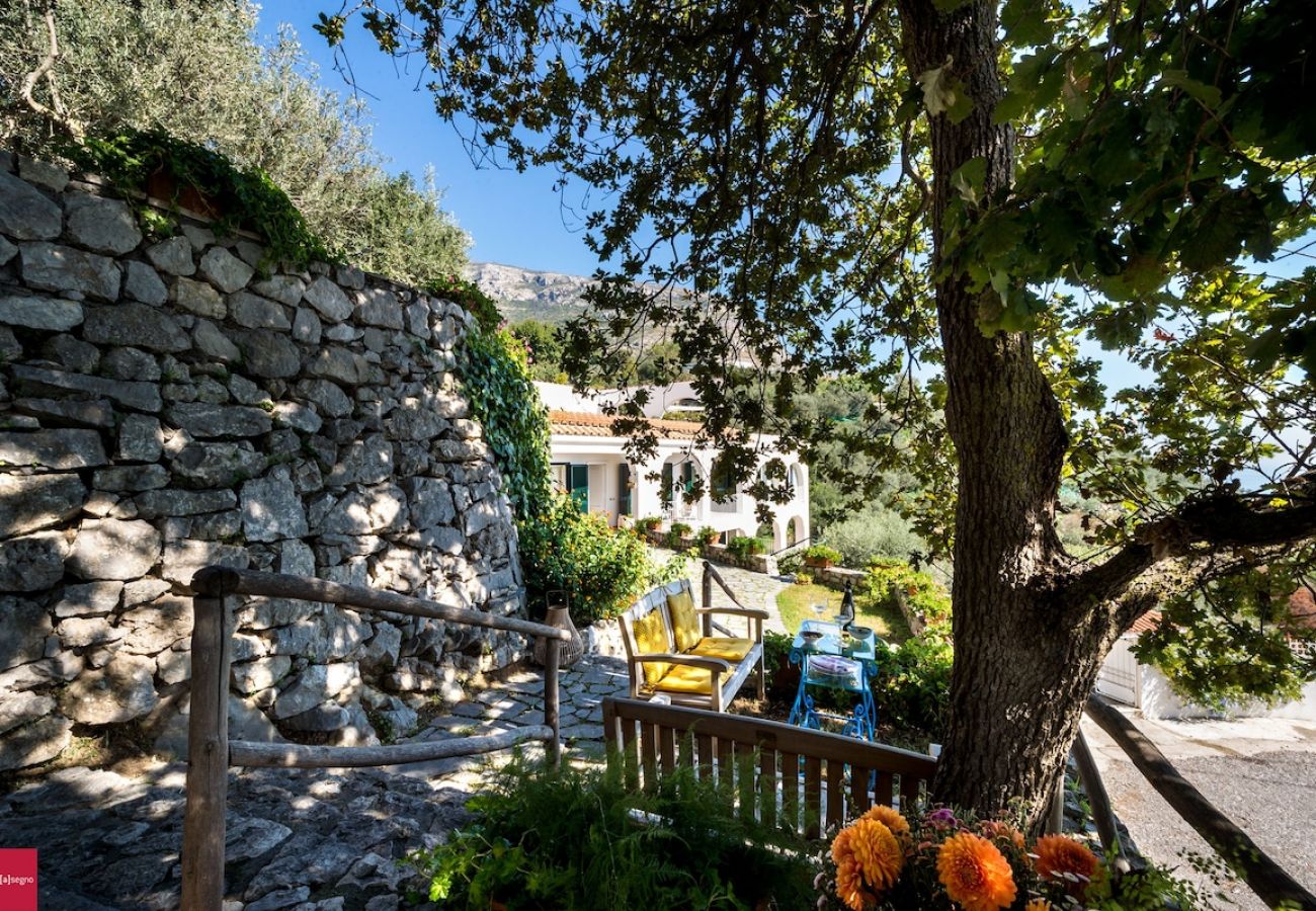 Apartment in Piano di Sorrento - Il Nibbio at 10 kilometres to Positano. 