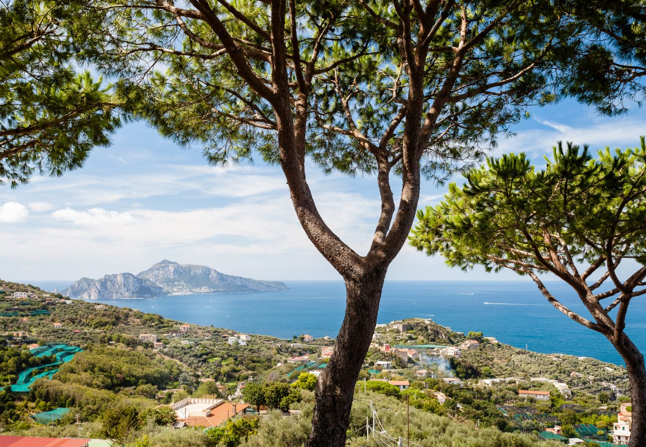 Villa in Massa Lubrense - Villa Capri sunshine with swimming pool