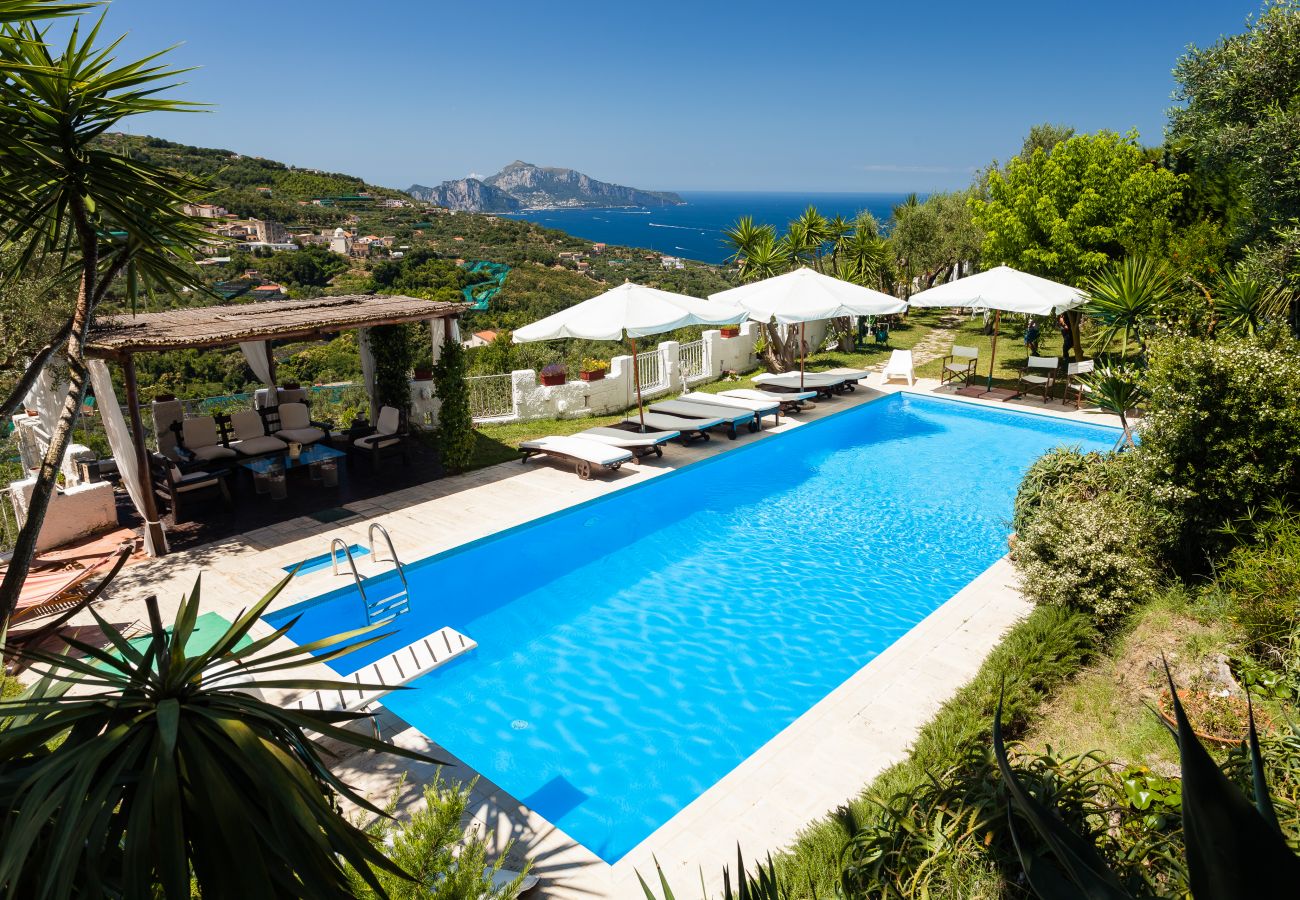 Villa in Massa Lubrense - Villa Capri sunshine with swimming pool