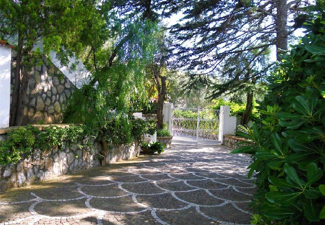 Apartment in Sorrento - Villa le Olivine Less then 5 min to Sorrento  Apartment in Sorrento - Villa le Olivine Less then 5 min to Sorrento