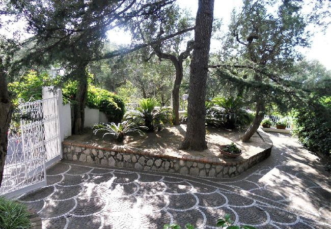 Apartment in Sorrento - Villa le Olivine Less then 5 min to Sorrento  Apartment in Sorrento - Villa le Olivine Less then 5 min to Sorrento