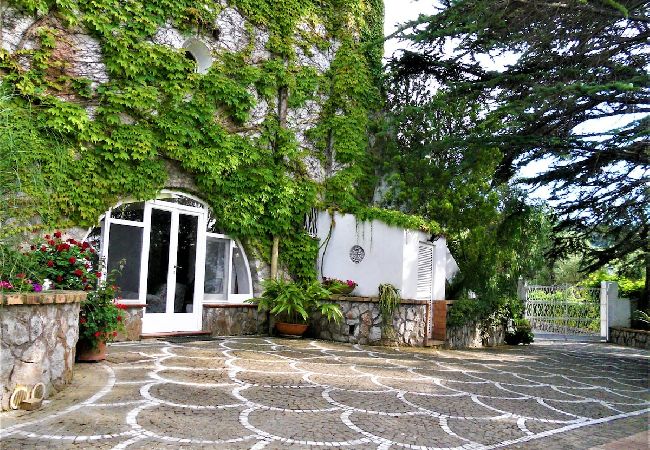 Apartment in Sorrento - Villa le Olivine Less then 5 min to Sorrento  Apartment in Sorrento - Villa le Olivine Less then 5 min to Sorrento
