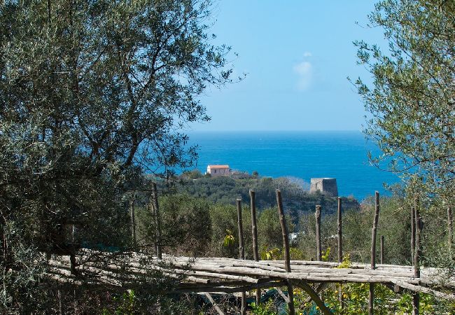 Apartment in Sorrento - Villa le Olivine Less then 5 min to Sorrento  Apartment in Sorrento - Villa le Olivine Less then 5 min to Sorrento