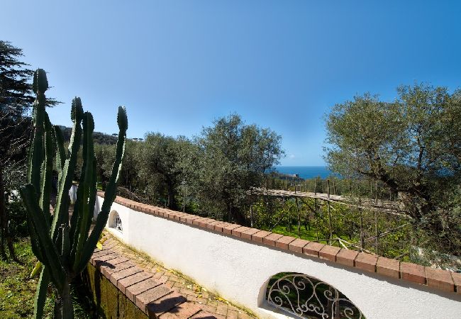 Apartment in Sorrento - Villa le Olivine Less then 5 min to Sorrento  Apartment in Sorrento - Villa le Olivine Less then 5 min to Sorrento