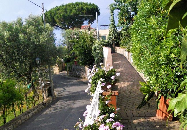 Apartment in Sorrento - Villa le Olivine Less then 5 min to Sorrento  Apartment in Sorrento - Villa le Olivine Less then 5 min to Sorrento