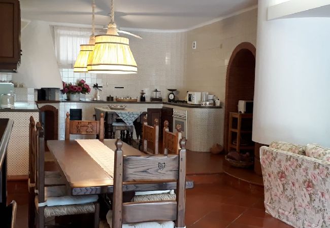 Apartment in Sorrento - Villa le Olivine Less then 5 min to Sorrento  Apartment in Sorrento - Villa le Olivine Less then 5 min to Sorrento