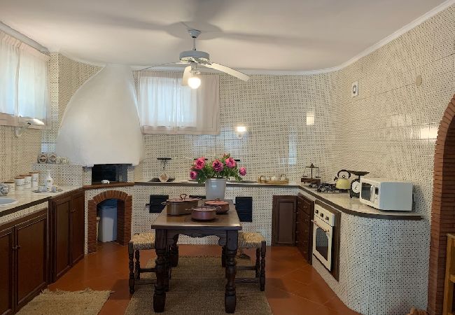 Apartment in Sorrento - Villa le Olivine Less then 5 min to Sorrento  Apartment in Sorrento - Villa le Olivine Less then 5 min to Sorrento