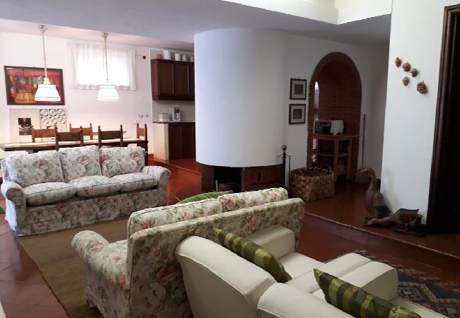 Apartment in Sorrento - Villa le Olivine Less then 5 min to Sorrento  Apartment in Sorrento - Villa le Olivine Less then 5 min to Sorrento