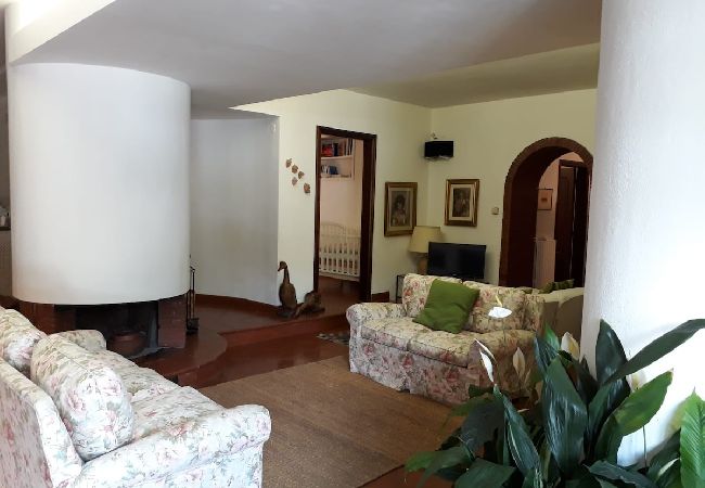 Apartment in Sorrento - Villa le Olivine Less then 5 min to Sorrento  Apartment in Sorrento - Villa le Olivine Less then 5 min to Sorrento