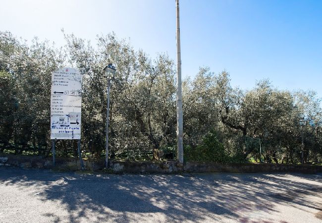 Apartment in Sorrento - Villa le Olivine Less then 5 min to Sorrento  Apartment in Sorrento - Villa le Olivine Less then 5 min to Sorrento
