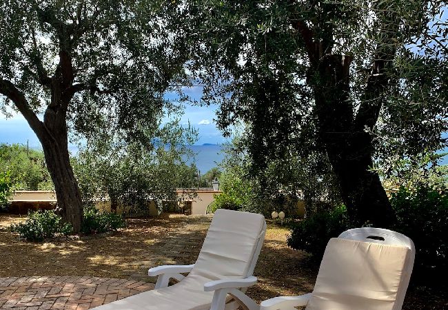 Apartment in Sorrento - Villa le Olivine Less then 5 min to Sorrento  Apartment in Sorrento - Villa le Olivine Less then 5 min to Sorrento