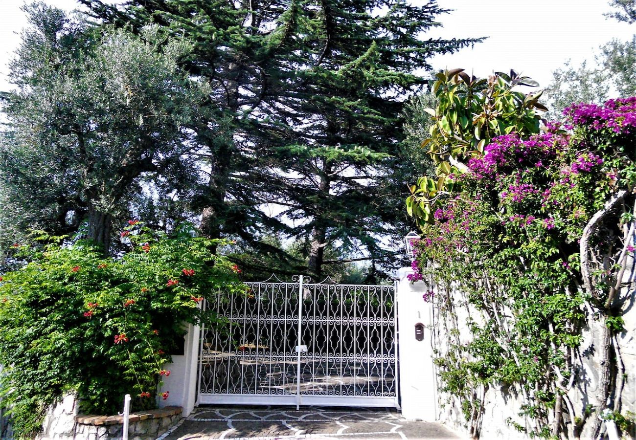 Apartment in Sorrento - Villa le Olivine Less then 5 min to Sorrento 