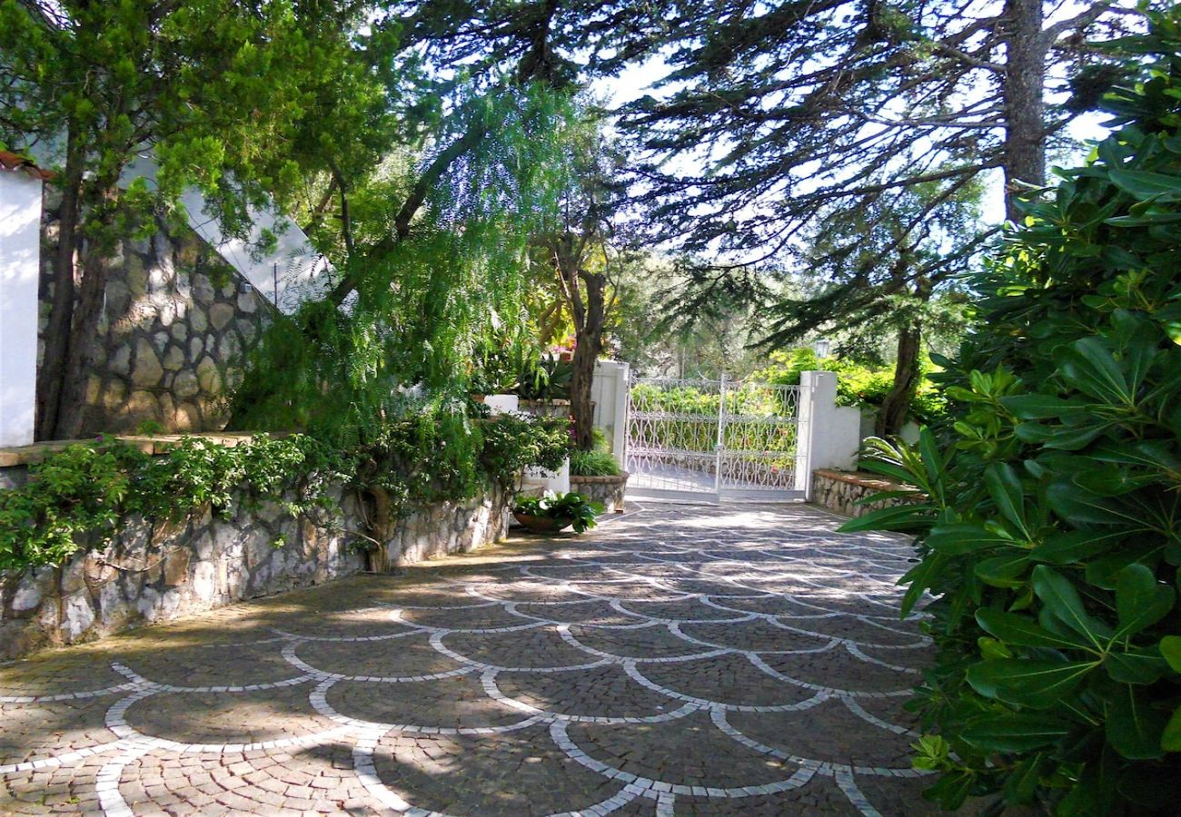 Apartment in Sorrento - Villa le Olivine Less then 5 min to Sorrento 