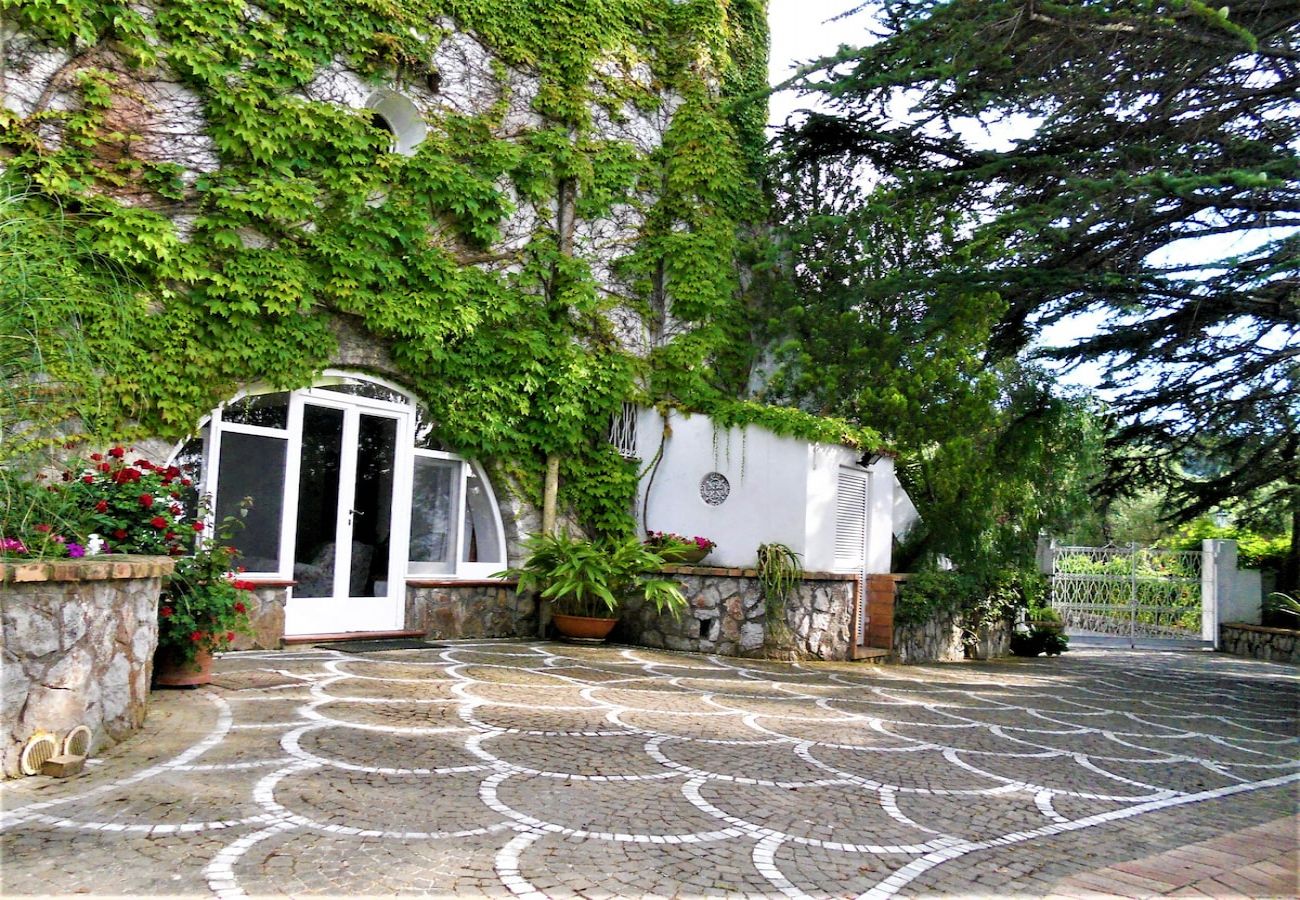 Apartment in Sorrento - Villa le Olivine Less then 5 min to Sorrento 