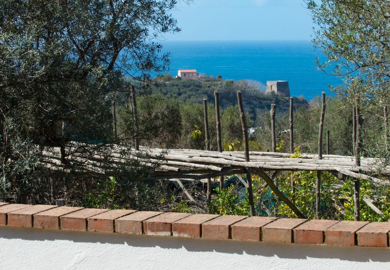 Apartment in Sorrento - Villa le Olivine Less then 5 min to Sorrento 