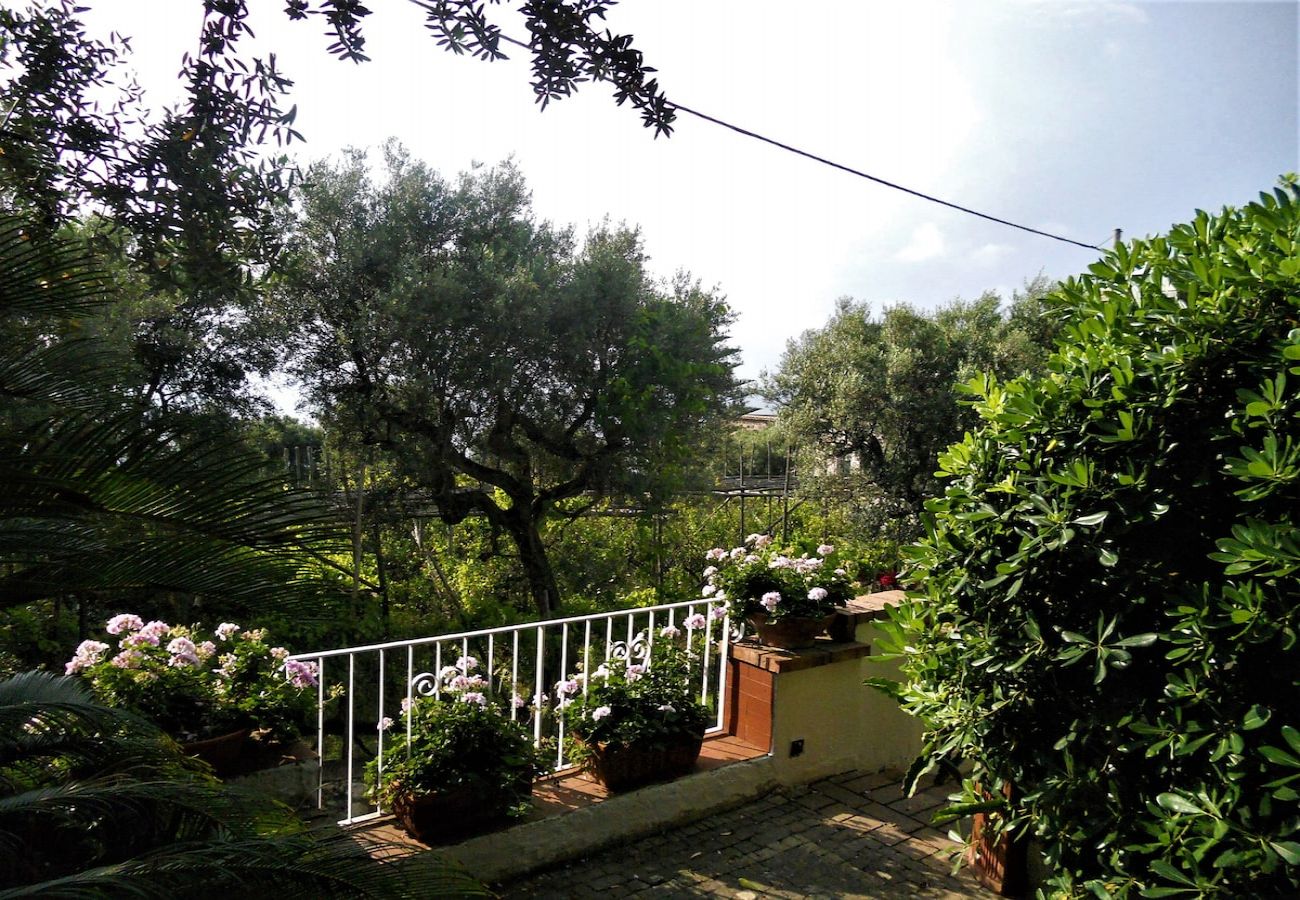 Apartment in Sorrento - Villa le Olivine Less then 5 min to Sorrento 