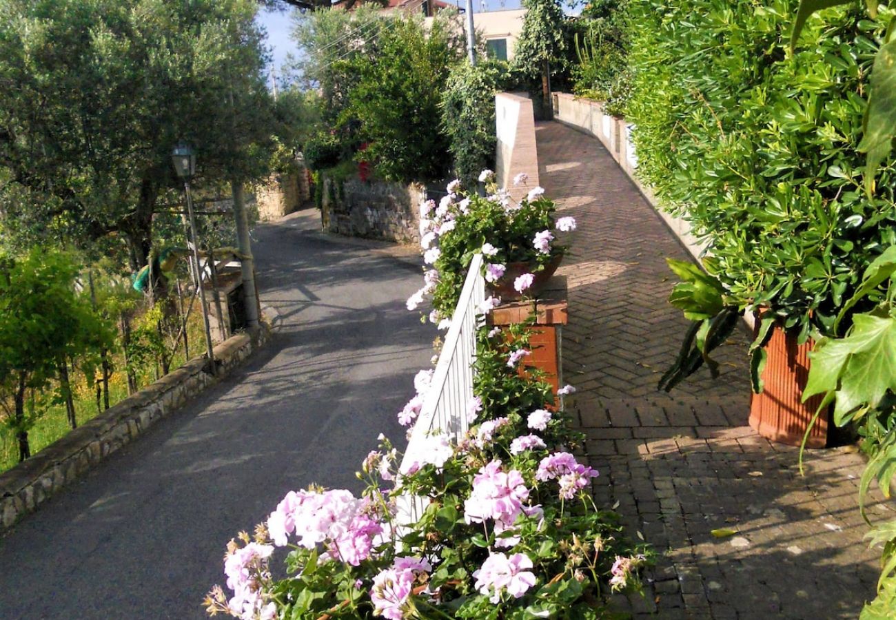 Apartment in Sorrento - Villa le Olivine Less then 5 min to Sorrento 