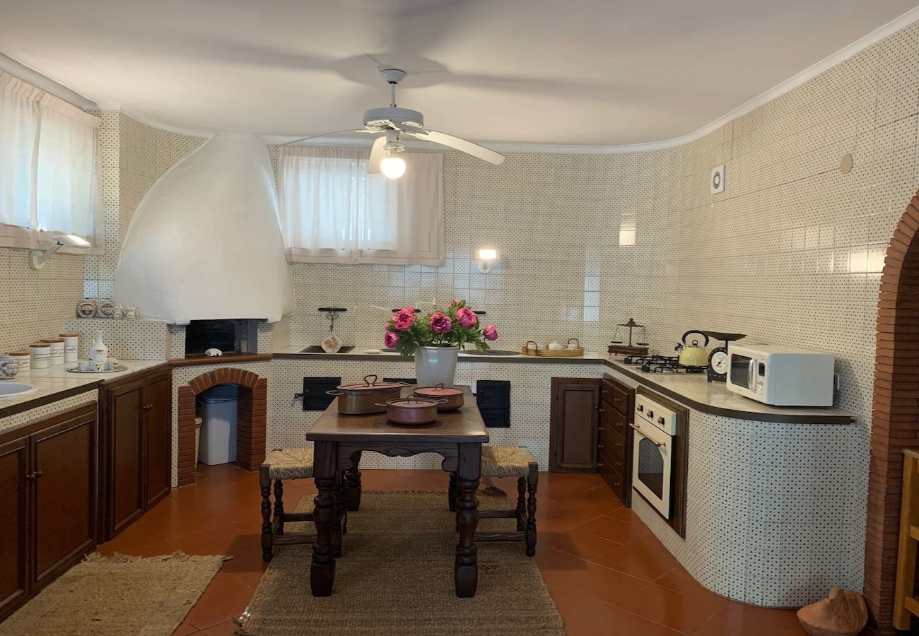 Apartment in Sorrento - Villa le Olivine Less then 5 min to Sorrento 