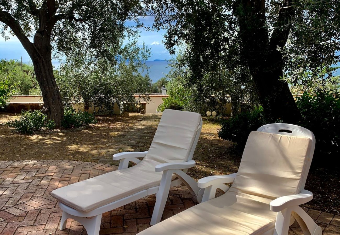 Apartment in Sorrento - Villa le Olivine Less then 5 min to Sorrento 