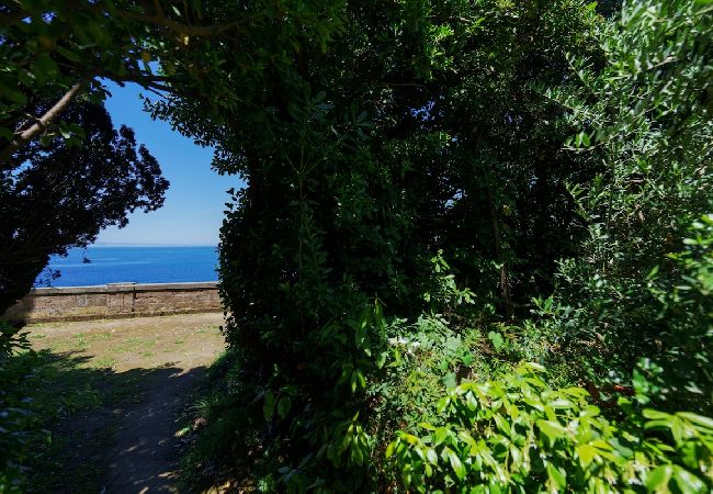Apartment in Sant´Agnello - The terrace of Villa Preziosa Apartment in Sant´Agnello - The terrace of Villa Preziosa
