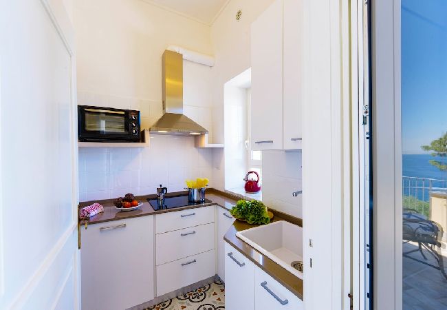 Apartment in Sant´Agnello - The terrace of Villa Preziosa Apartment in Sant´Agnello - The terrace of Villa Preziosa