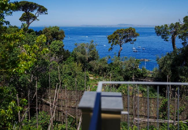 Apartment in Sant´Agnello - The terrace of Villa Preziosa Apartment in Sant´Agnello - The terrace of Villa Preziosa