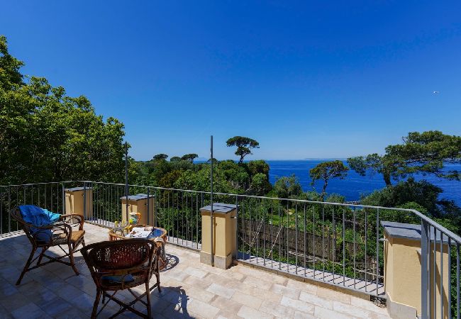 Apartment in Sant´Agnello - The terrace of Villa Preziosa Apartment in Sant´Agnello - The terrace of Villa Preziosa