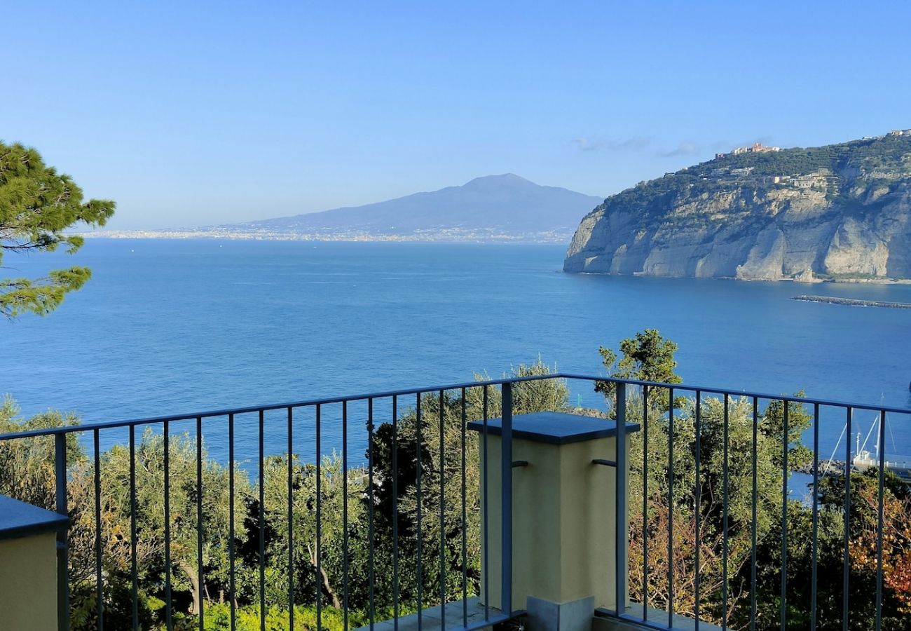 Apartment in Sant´Agnello - The terrace of Villa Preziosa