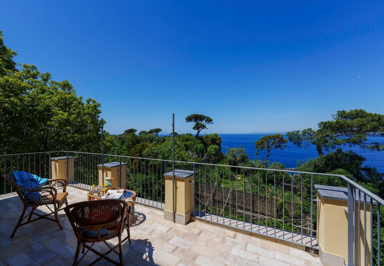 Apartment in Sant´Agnello - The terrace of Villa Preziosa