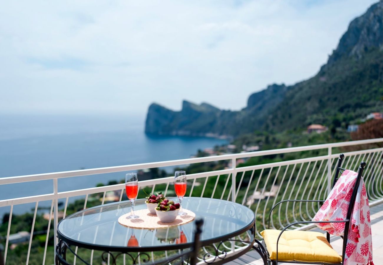 Apartment in Massa Lubrense - Belvedere apartament in Nerano stunning sea view 