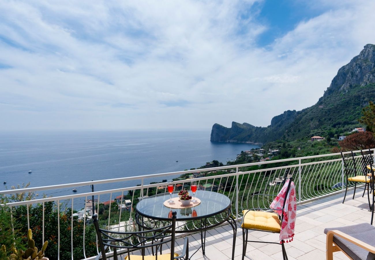Apartment in Massa Lubrense - Belvedere apartament in Nerano stunning sea view 