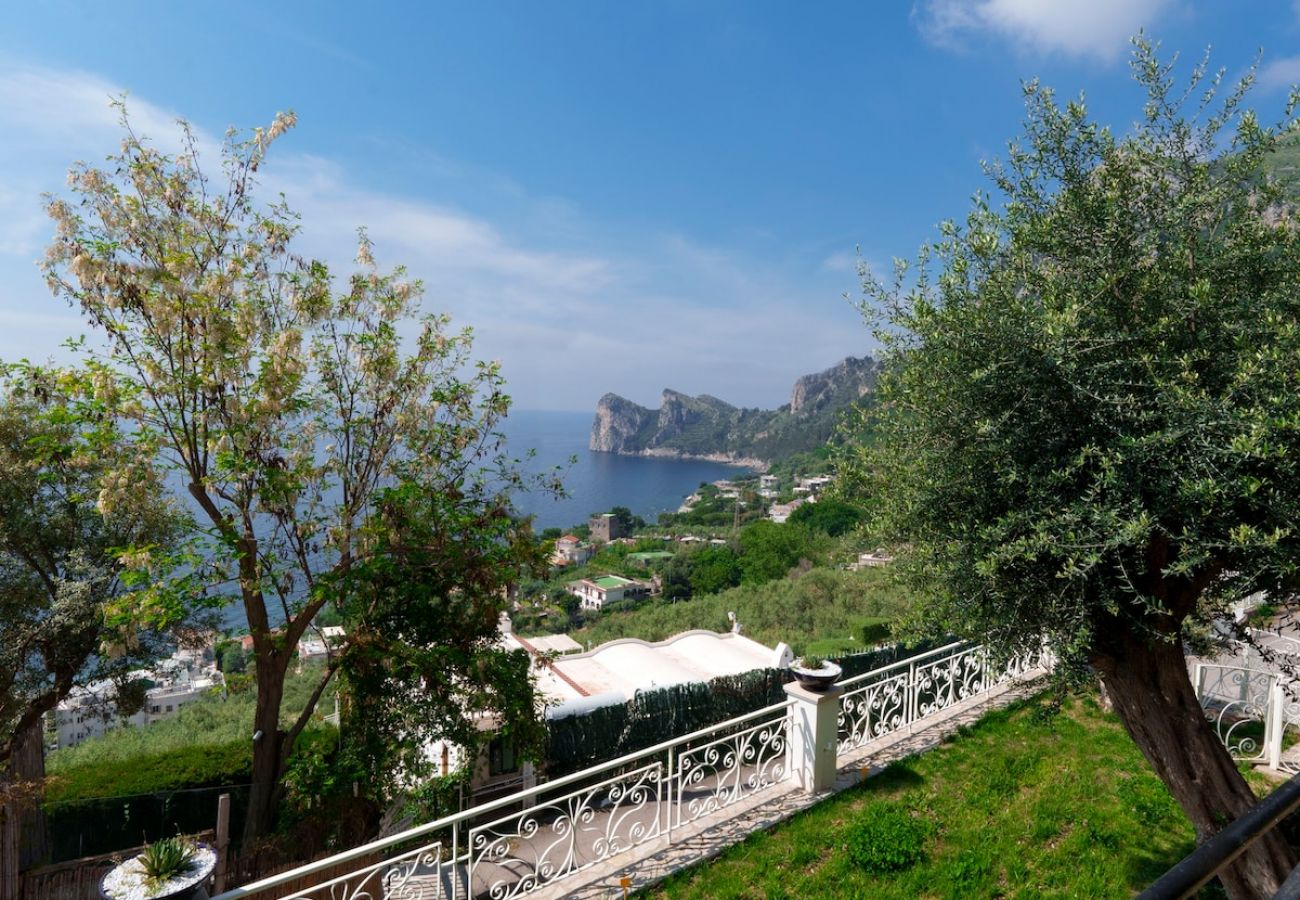 Apartment in Massa Lubrense - Belvedere apartament in Nerano stunning sea view 