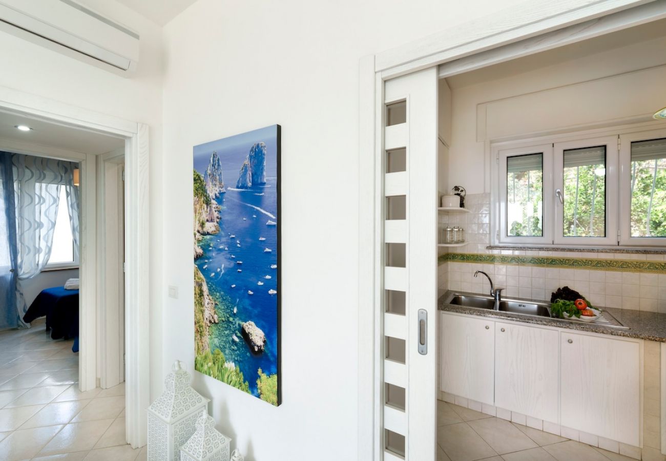 Apartment in Massa Lubrense - Belvedere apartament in Nerano stunning sea view 