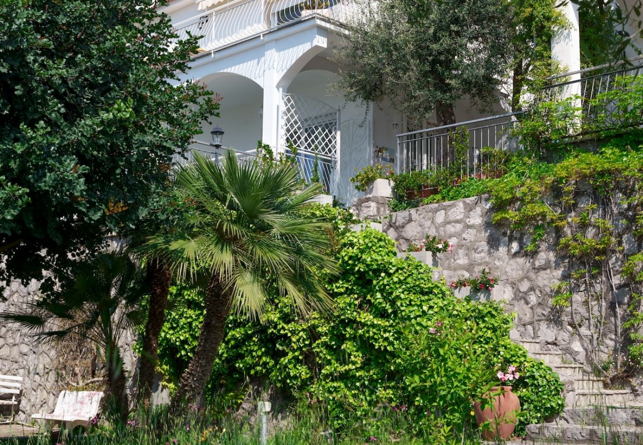 Apartment in Massa Lubrense - Belvedere apartament in Nerano stunning sea view 